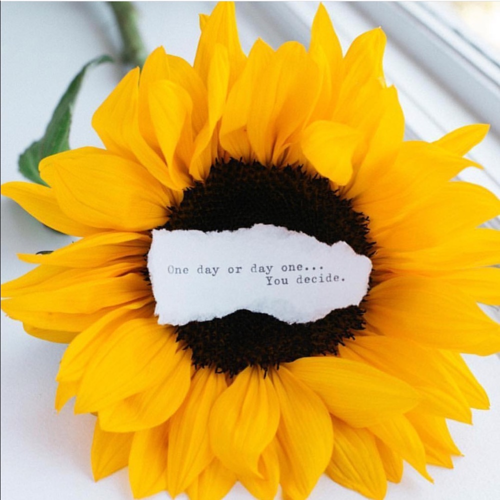 Meet your Posher, Sha